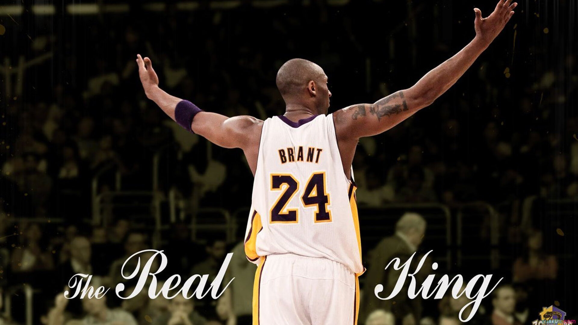 九游官网APP-史上最大“黑马荣耀”：从无名小将到巨星巅峰，最大的黑马