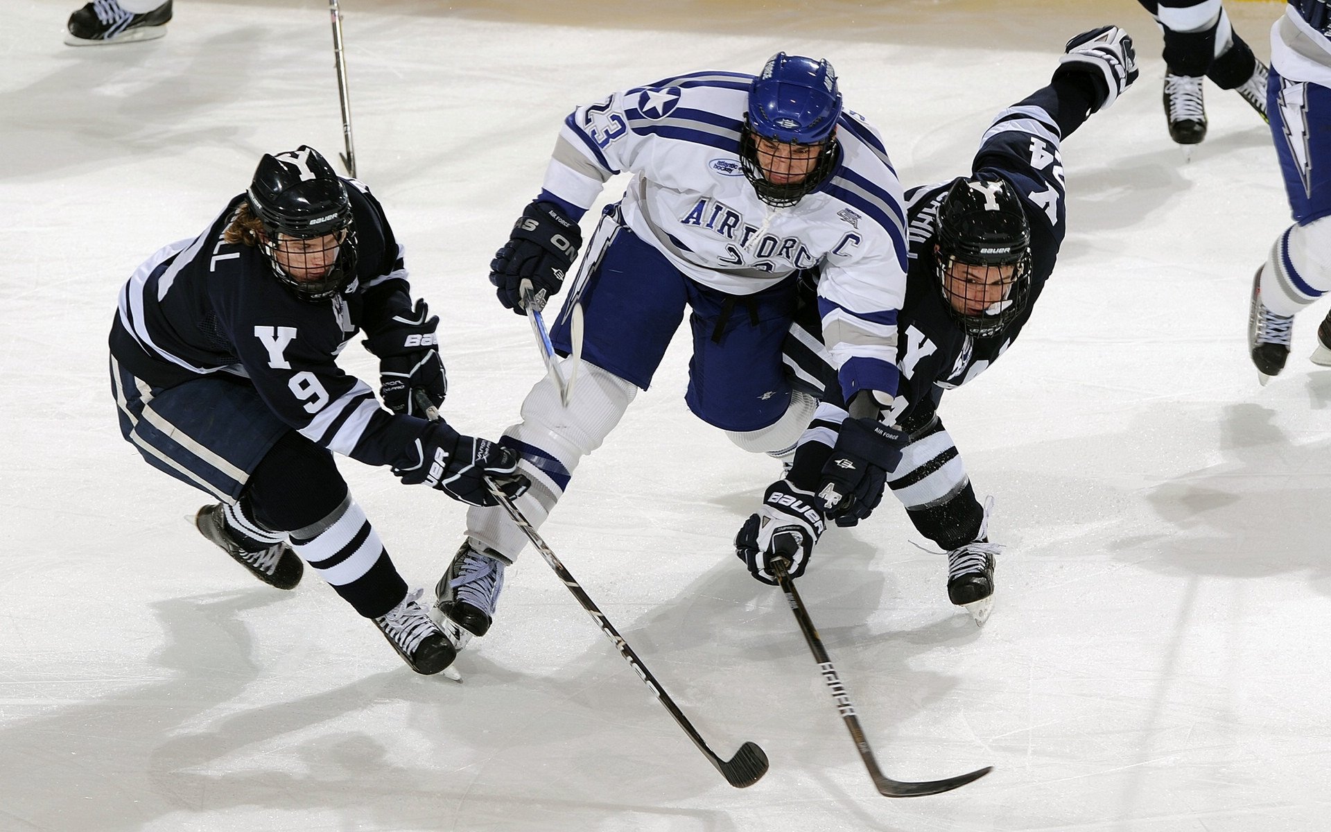球迷故事：那些陪伴球队走过的重要时刻，球迷和球队的关系